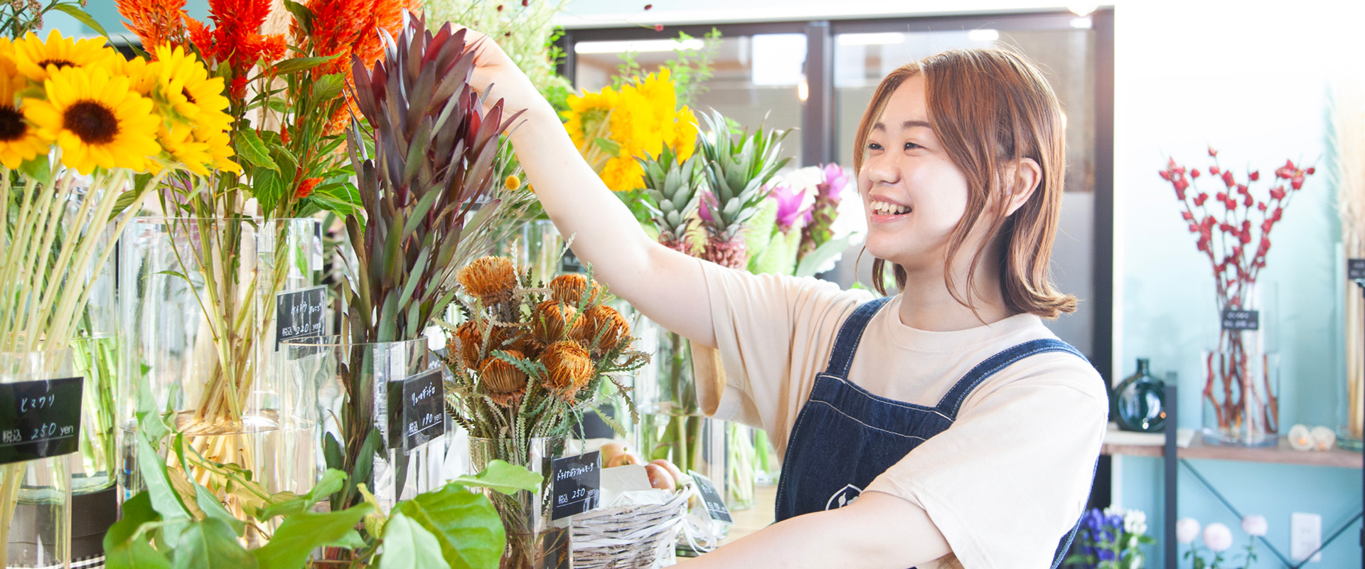 佐々木陽菜